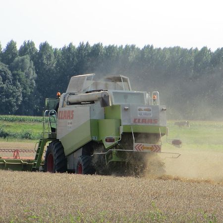B&B Boerderij Wijtvliet Langeweg Eksteriør billede