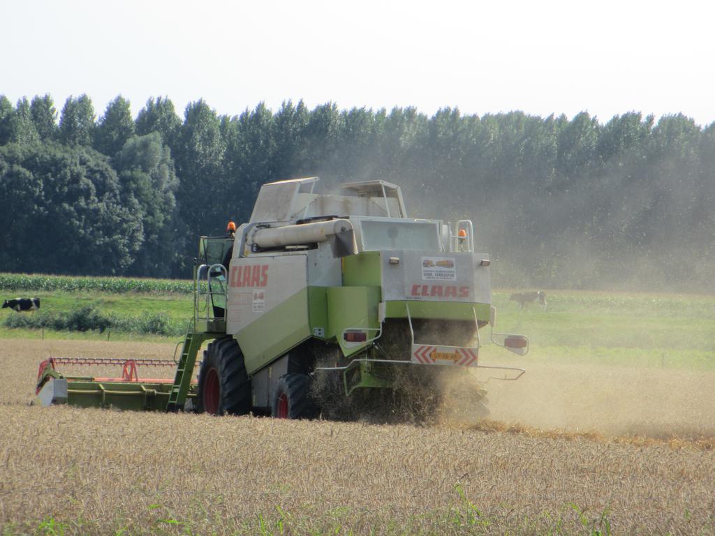 B&B Boerderij Wijtvliet Langeweg Eksteriør billede